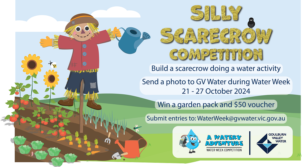 water-week-silly scarecrow-web version